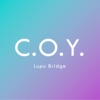 Lupu Bridge