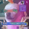 吉娃娃之歌(CXMPXSS Remix)