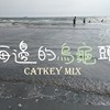 海边的乌龟头 KAWAII FUTUREBASS CATKEYMIX