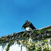 还记得那一天