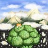 Silent Flower (Demo)