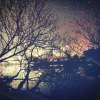 Alone (Demo)