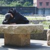 让我臣服于这种宁静－Demo