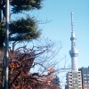 东京漫游