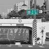 孩子与树