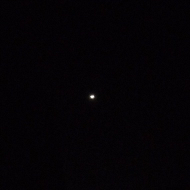 Lonely Night