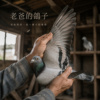 老爸的鸽子