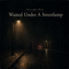 Waited Under A Streetlamp