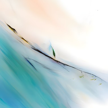 岛屿构竹
