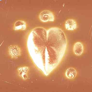 Damp Heart