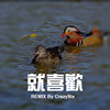 CrazySix - 就喜欢(Remix)