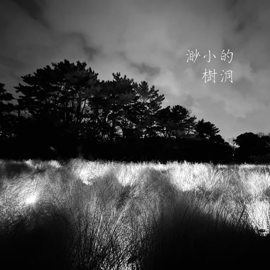 渺小的树洞 Selter（demo）