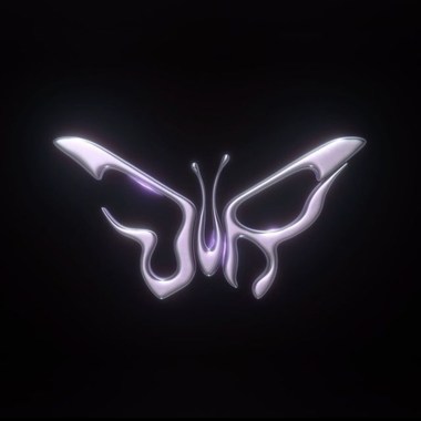 Ms. Butterfly