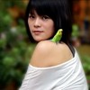 Little Bird