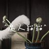 魔人猫猫