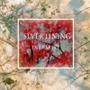 Silver Lining