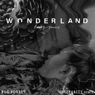 黄玠玮 - Fog Forest (Dizparity Remix)