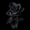 Coercion (feat.黑卫斯from EmergingFromTheCocoon破茧而出)