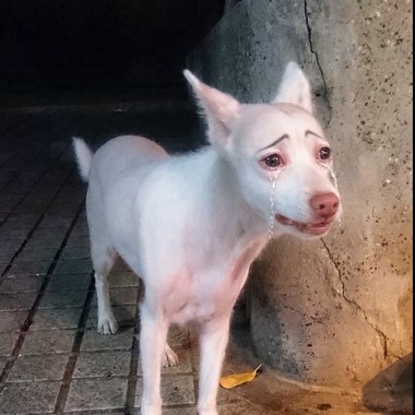 门路