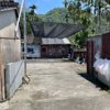 屋子里的音乐与屋子外的鸡叫