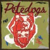 Homeless Dog - Sleeping Dogs