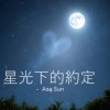 星光下的约定