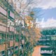 我们的青春