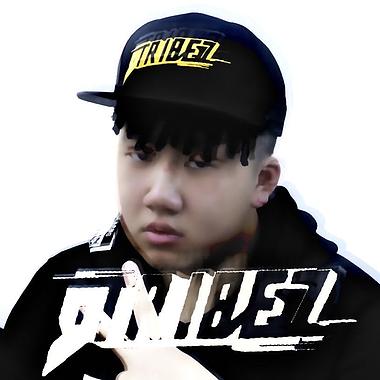 回忆cover南征北战nzbz