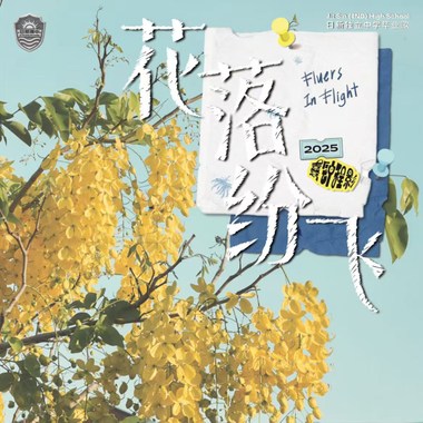 好听好听
