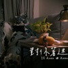 对你著迷Demo