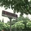 东体育会路罗曼史