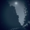 Moon Light