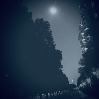 Moon Light
