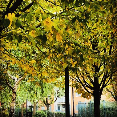 Autumn