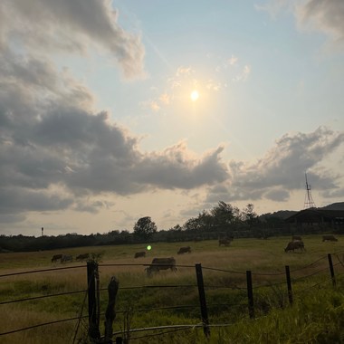 Coldplay Yellow cover