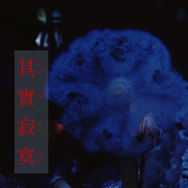 其实寂寞（cover）