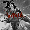 Ninja(Guitar by Kill Lee)