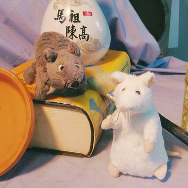 民族幻想_风之咏