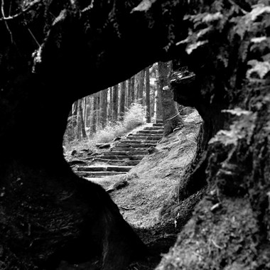 Ambient Collection I - Opening