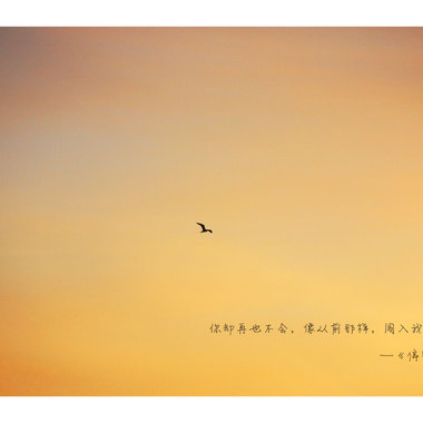 停留