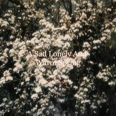 A sad lonely and warm spring