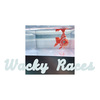 Wacky Race