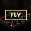 Fly