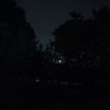 夜空中最亮的星Cover