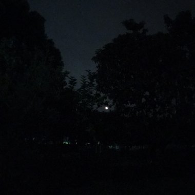 夜空中最亮的星Cover