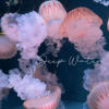 Deep Water