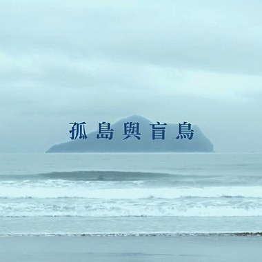 孤岛与盲鸟