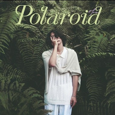 Polaroid
