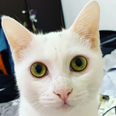 不是你的错