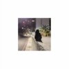夜间散步 Night Walk